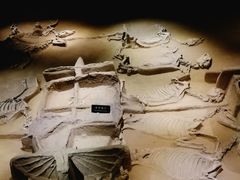 -洛阳周王城天子驾六博物馆