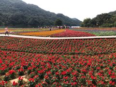 -广州市石门国家森林公园