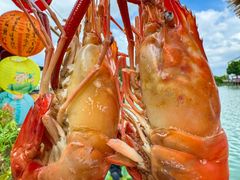 -水岸居湖景农家乐·阳澄湖大闸蟹