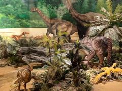 -安徽省地质博物馆