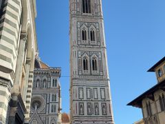 -圣母百花大教堂穹顶