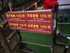 -秀丽东方
