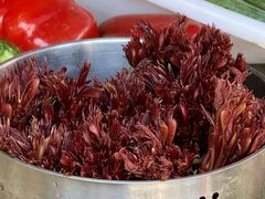 -南坛综合农贸市场