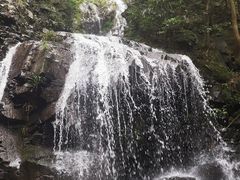 -藏龙百瀑风景区