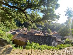 -杨家堂村