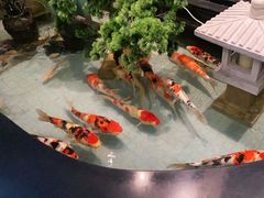 -长赢养生(平度店)