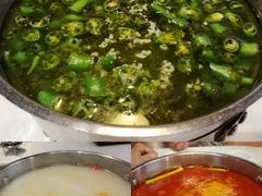 青麻椒锅底-大胖骨汤火锅(裕华店)