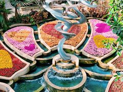 -南山植物园
