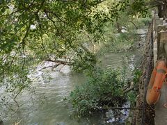 -大湾区中央湿地公园
