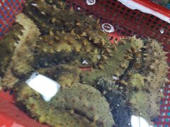 -无锡天鹏食品城