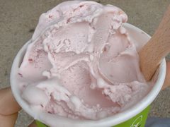 -Dooley's Premium Ice Cream