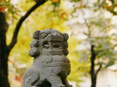 -北京石刻艺术博物馆(五塔寺)