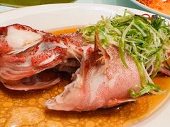 东星斑清蒸-金轩中餐厅 Jin Xuan(浦东丽思卡尔顿酒店)