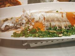 -沪碟·精菜坊(闵行店)
