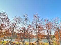 -厦门园林博览苑