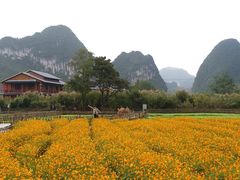 -靖西鹅泉风景区