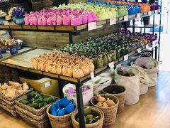 -L.C FLORA花予你(城西银泰城店)