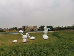 -空港花田景区