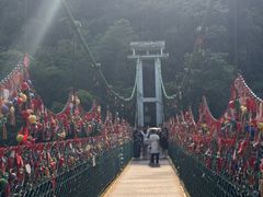-西双版纳原始森林公园