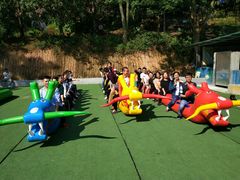 -松山湖南湖湾露营营地