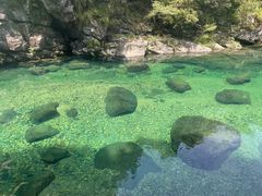 -石台牯牛降景区