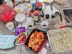 -吴淞炮台湾湿地森林公园烧烤区