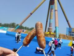 -秦皇岛乐岛海洋王国