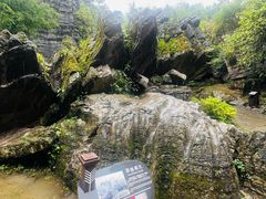 -梭布垭石林景区