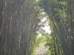 -采石矶景区