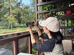 -野蔓果·山野菜(西湖景区·龙井茶田店)