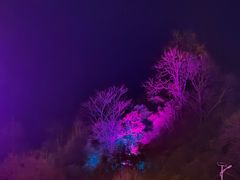 -栾川竹海野生动物园