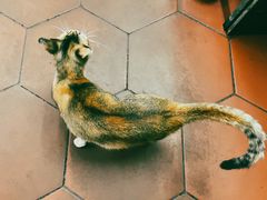 -非遗·爱西干面(小公园总店)