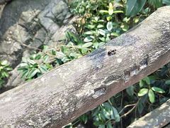-山沟沟景区