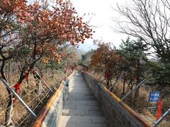 -妙峰山风景名胜区