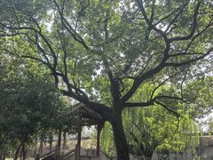 -观潮胜地公园
