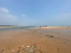 -日照海滨国家森林公园