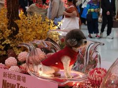 -新城市广场