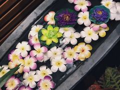 -SABAI THAI SPA泰式按摩体验馆(北城天街店)