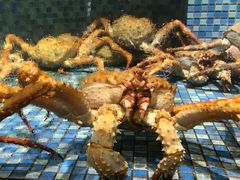 -海口骑楼小吃街