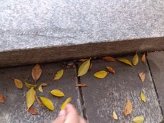 -黄埔古港