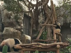 -香港海洋公园