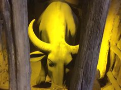 -威海华夏城景区