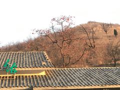 -潭溪山