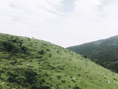 -大姆山草场