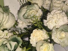 -极动室内恒温游泳馆