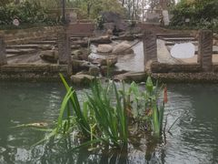 -成都市活水公园