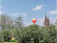 -中国科学院西双版纳热带植物园