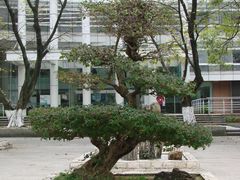 -广东外语外贸大学(白云山校区)