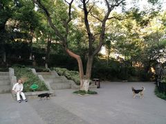 -伯先公园