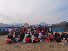 -趣玩宠物乐园寄养训犬训狗游泳池